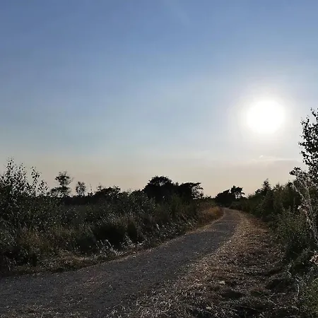 Luxe En Sfeervolle Safaritent Met Eigen Badkamer Voor 6 Personen Doc Οργανωμένο κάμπινγκ