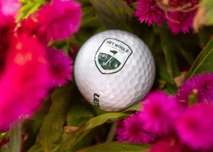 Luxe En Sfeervolle Safaritent Met Eigen Badkamer Voor 6 Personen Doc *