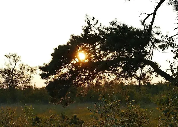 Luxe En Sfeervolle Safaritent Met Eigen Badkamer Voor 6 Personen Doc Tente de luxe