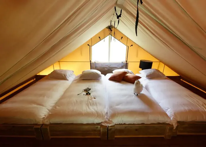 Luxe En Sfeervolle Safaritent Met Eigen Badkamer Voor 6 Personen Doc خيمة فخمة Behelp