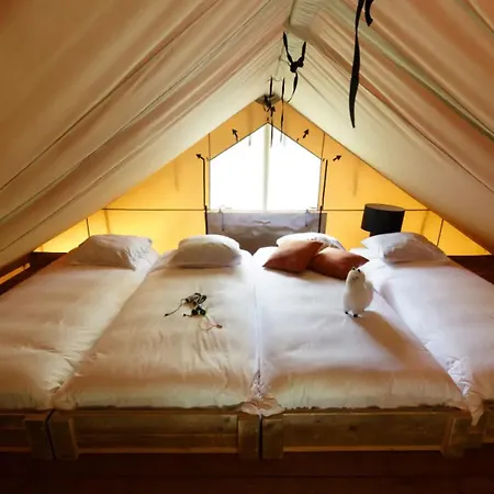 Luxe En Sfeervolle Safaritent Met Eigen Badkamer Voor 6 Personen Doc Lyxtält Behelp