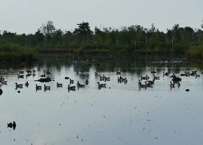 Luxusní stan Luxe En Sfeervolle Safaritent Met Eigen Badkamer Voor 6 Personen Doc