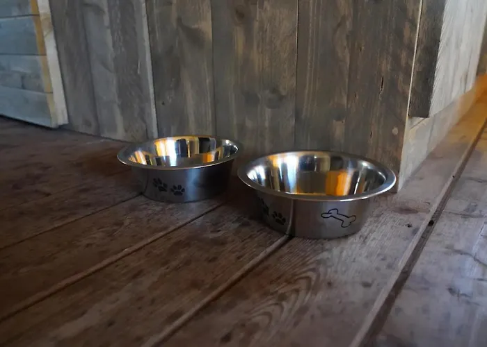 Luxe En Sfeervolle Safaritent Met Eigen Badkamer Voor 6 Personen Doc Luxusní stan Behelp