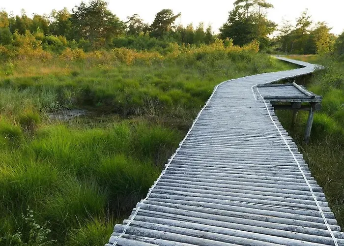 Luxe En Sfeervolle Safaritent Met Eigen Badkamer Voor 6 Personen Doc Luxusní stan